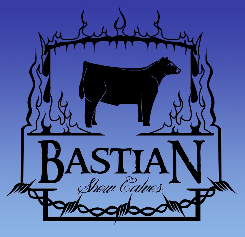 Bastian Show Calves